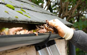 gutter cleaning Dolwen, Conwy