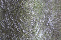 Dolwen fibreglass roof work